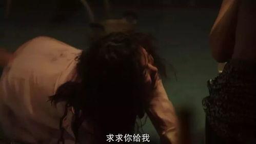 成人影视岛国AV视频,揭秘激情背后的故事与影响