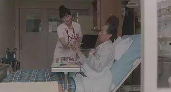 成人影视岛国AV视频,揭秘激情背后的故事与影响