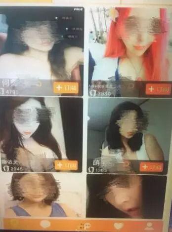 网红成人毯子视频大全,潮流时尚与温馨家居的完美融合