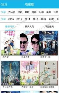 中文成人TV视频,揭秘成人影视背后的故事