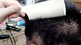 成人男剪发型教程视频,成人男士发型教程视频精华解析