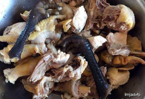 成人 蘑菇视频 观看,蘑菇视频带你领略多元生活