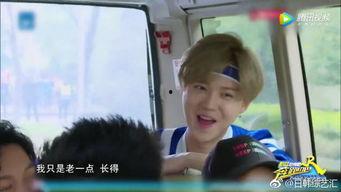 成人女孩梳头头型视频,轻松打造时尚成人女孩梳头头型教程