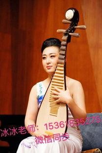 成人学习琵琶教学视频,轻松掌握古韵之美