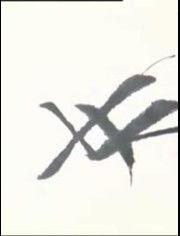 成人治愈练字视频,轻松提升成人书写之美