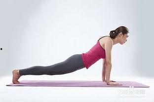 成人运动塑形视频