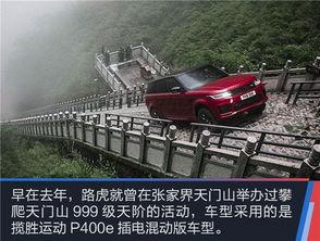 成人攀爬云梯视频大全集,成人攀爬云梯视频大全集精彩回顾