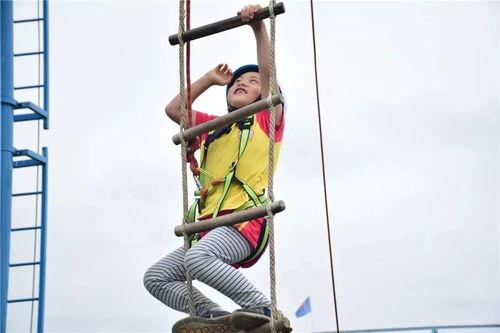 成人攀爬云梯视频大全集,成人攀爬云梯视频大全集精彩回顾