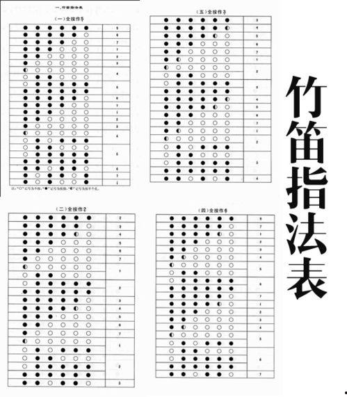 成人自学竹笛教程视频大全,轻松入门，掌握竹笛演奏技巧