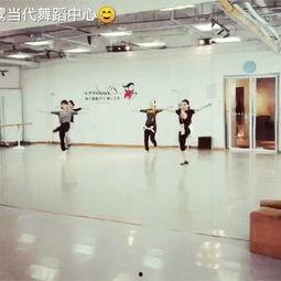 北京成人芭蕾舞蹈视频,优雅舞步中的艺术之旅