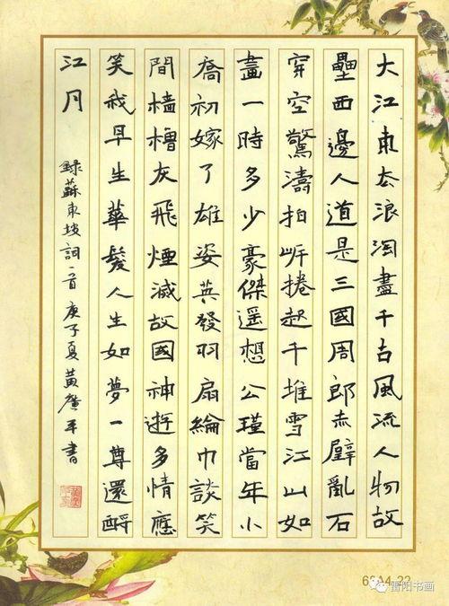 成人硬笔书法素材视频,跟随视频素材领略成人书法之美