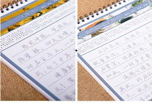 成人硬笔书法素材视频,跟随视频素材领略成人书法之美