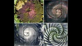 成人音乐放松疗法视频讲解,成人身心愉悦的疗愈之旅