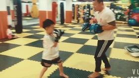 成人散打辫子视频,辫子技法在成人散打中的应用与解析