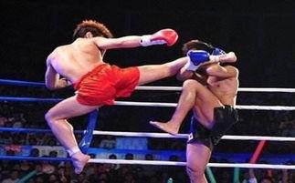 成人散打辫子视频,辫子技法在成人散打中的应用与解析