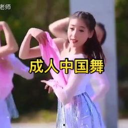 成人舞蹈芭蕾身韵视频,跟随视频领略成人舞蹈魅力