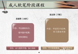 成人软笔书法训练视频